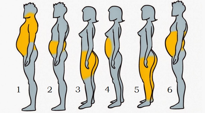 tipos-obesidad-dietas-y-mas
